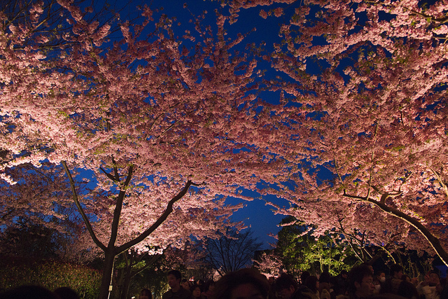 Nabana no Sato Park