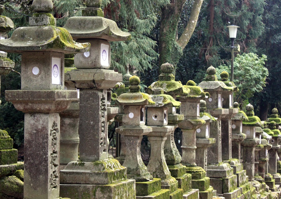 Nara Kasuga lanterns