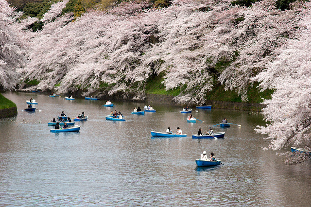 chidorigafuchi