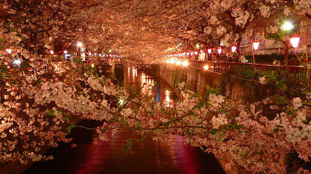 meguro-river