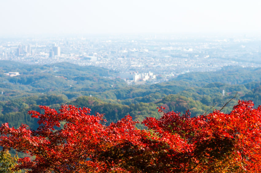 49857835 - takao mountain,tokyo,japan autumn