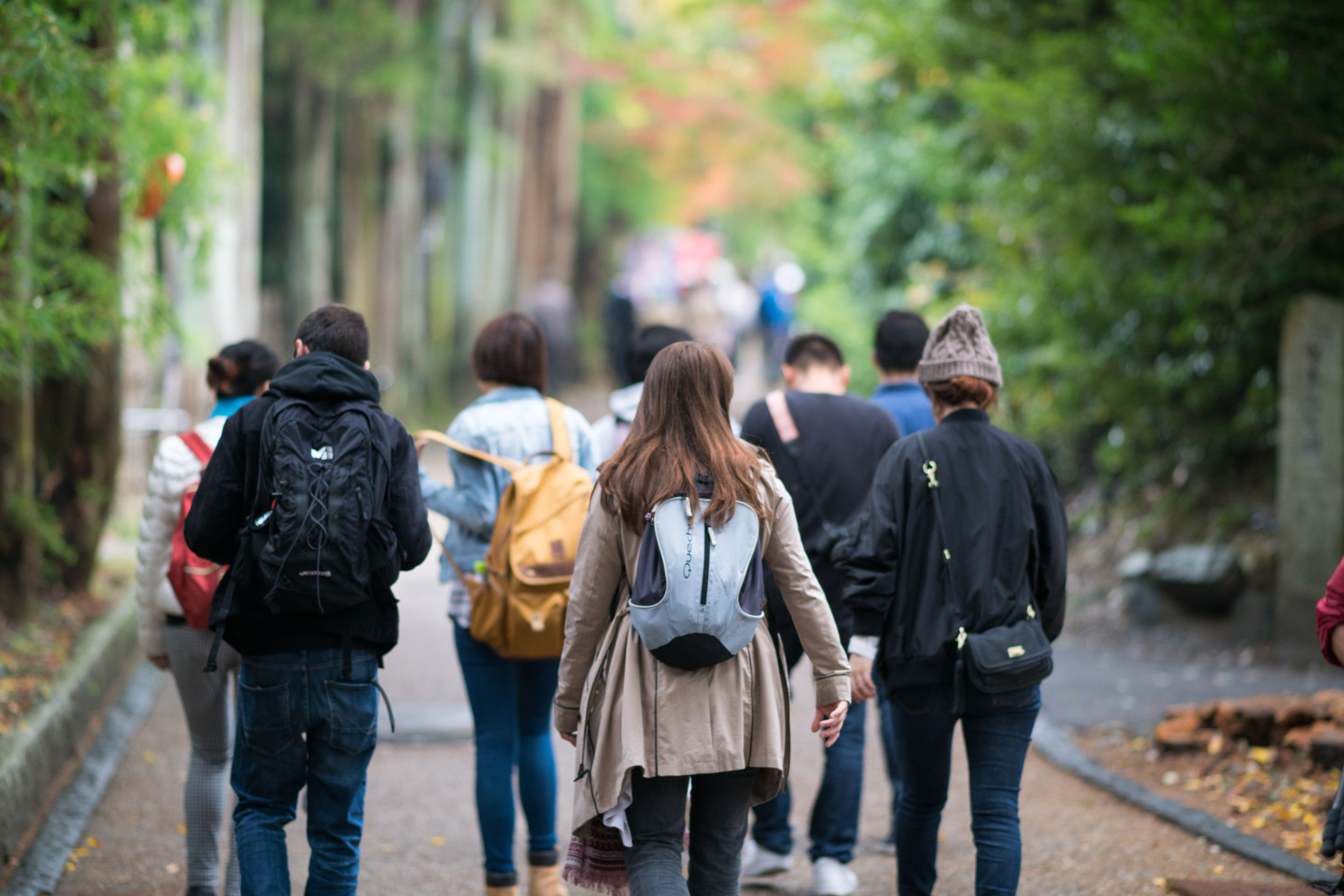 working holiday visa japan