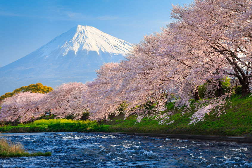 free wifi in japan