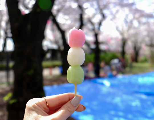 a woman's hand holding hanami dango