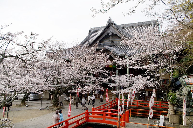 kimiidera