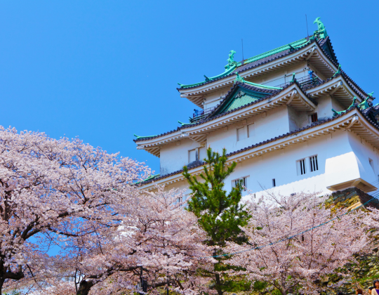 wakayama castle