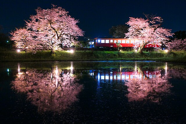 itabu station cherry blossoms
