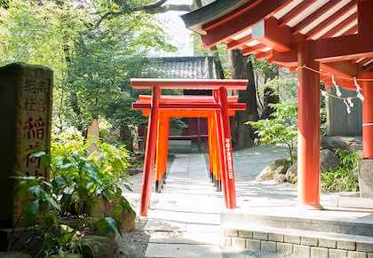 Kinomiya Shrine (来宮神社)