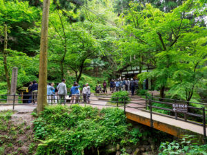 rural japan tourist group