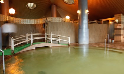Minamida Onsen Hotel Apple Land (南田温泉 ホテルアップルランド)