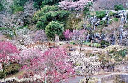 Atami Baien (熱海梅園)