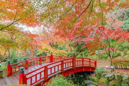 Fall
