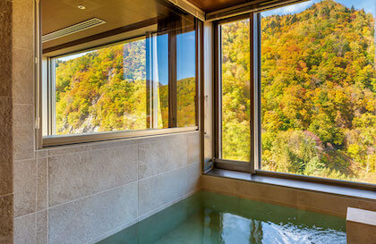 Grand Blissen Hotel Jozankei (グランドブリッセンホテル定山渓)