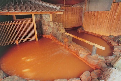 HOTEL HANAKOYADO (有馬温泉 ホテル花小宿)