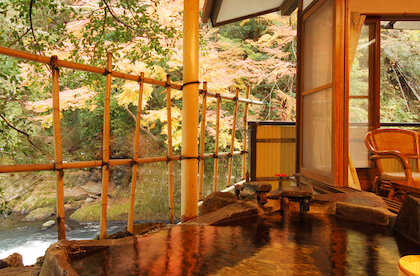 Ichinoyu Honkan (塔ノ沢一の湯本館)