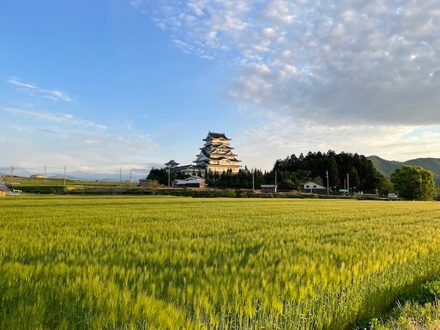 Day View of Katsuyama Castle