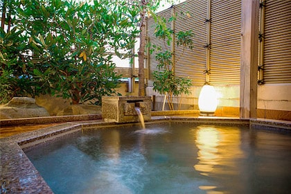 Matsusaki Tatsunokuchi Onsen (辰口温泉 まつさき)