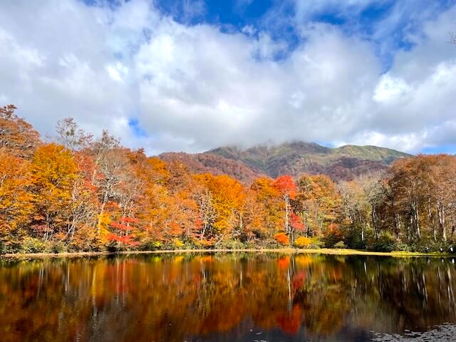 View of Karikomi Pond in Ono, Fukui