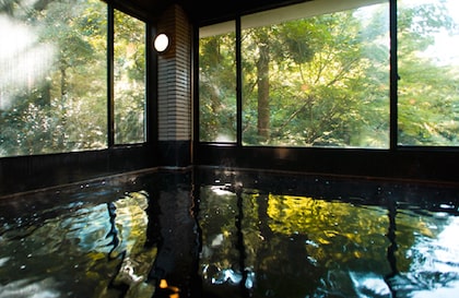 Motoyu Ishiya Fukatani Onsen (深谷温泉 元湯石屋)