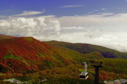 Nasu Autumn