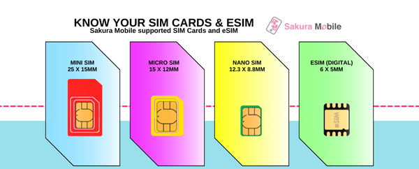 SIM eSIM Evolution