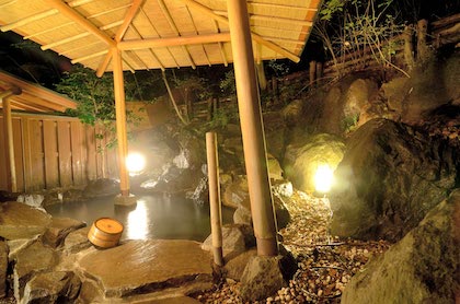 Seikanso (市川別館 晴観荘)