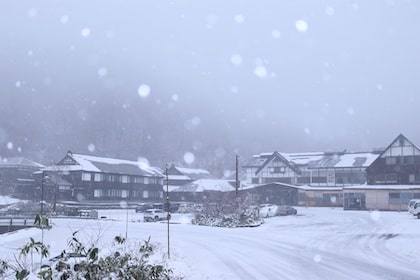  Sukayu Onsen (酸ヶ湯温泉旅館)