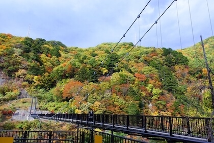 Things to do - Enjoying nature- Kinu Tateiwa Suspension Bridge