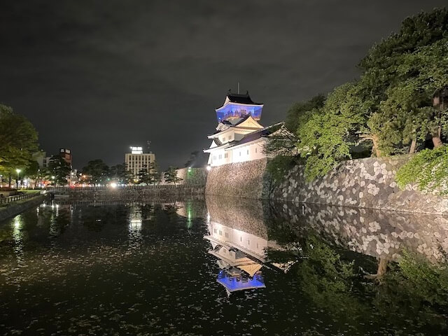 Night View of Toyama Castle