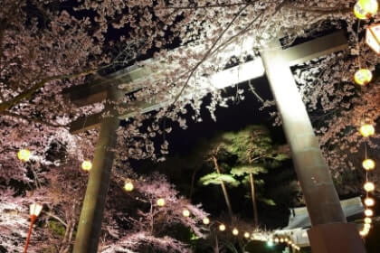 When to visit Kinugawa Onsen Yozakura Festival