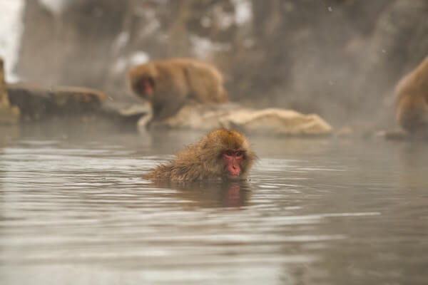 What’s an onsen?
