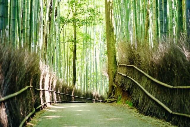 Top 2 ryokan in the Arashiyama area