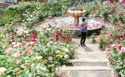 atsumi onsen rose park