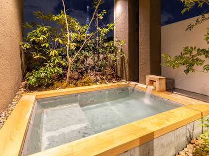 cyashitsu ryokan asakusa (茶室ryokan asakusa)