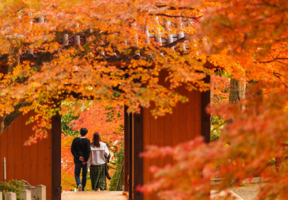 Daikozenji