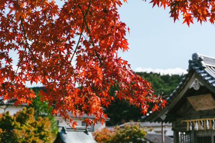 Dazaifu
