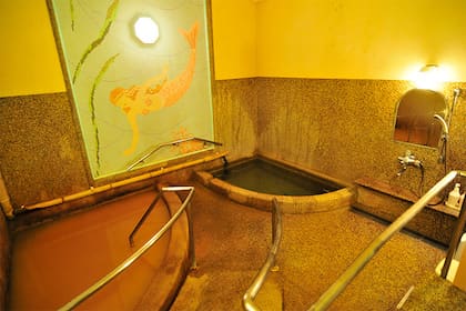 HOTEL HANAKOYADO (有馬温泉　ホテル花小宿)