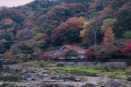 HanaYashiki (湯原温泉　湯快感　花やしき)
