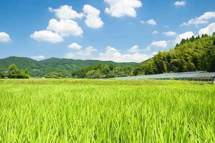 Hirayama Onsen (平山温泉)
