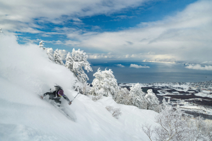 skiing in Niseko