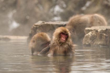 Jigokudani Onsen (地獄谷温泉)