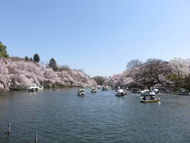 Kichijoji