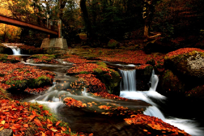 kikuchi gorge