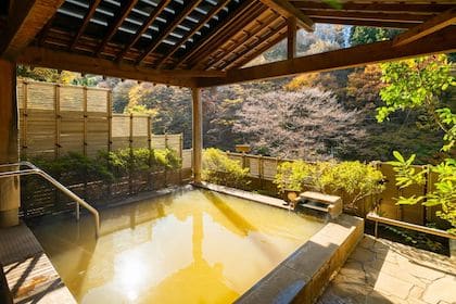 Enjoy the two unique types of hot spring water