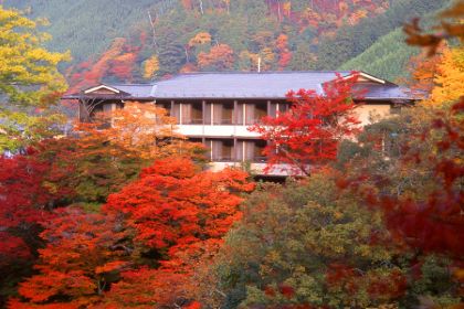 Momiji-ya (もみぢ家)