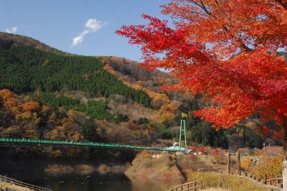 Momijidani Suspension Bridge (もみじ谷大吊橋)