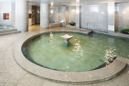HOTEL MYSTAYS PREMIER Sapporo Park (ホテルマイステイズプレミア札幌パーク)