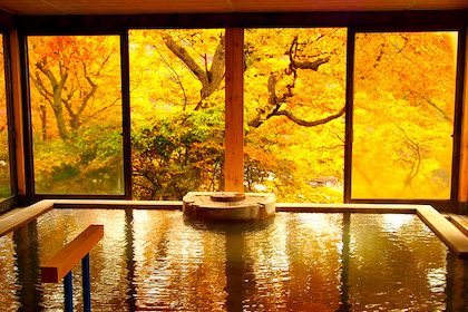 Try out the different types of hot springs