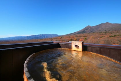 NASU ICHIYA HOTEL (那須いちやホテル)
