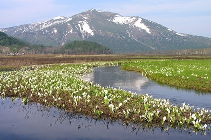 Take in the surrounding nature